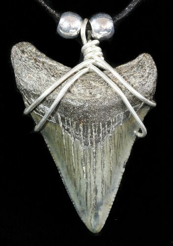 Fossil Megalodon Tooth Necklace #47776